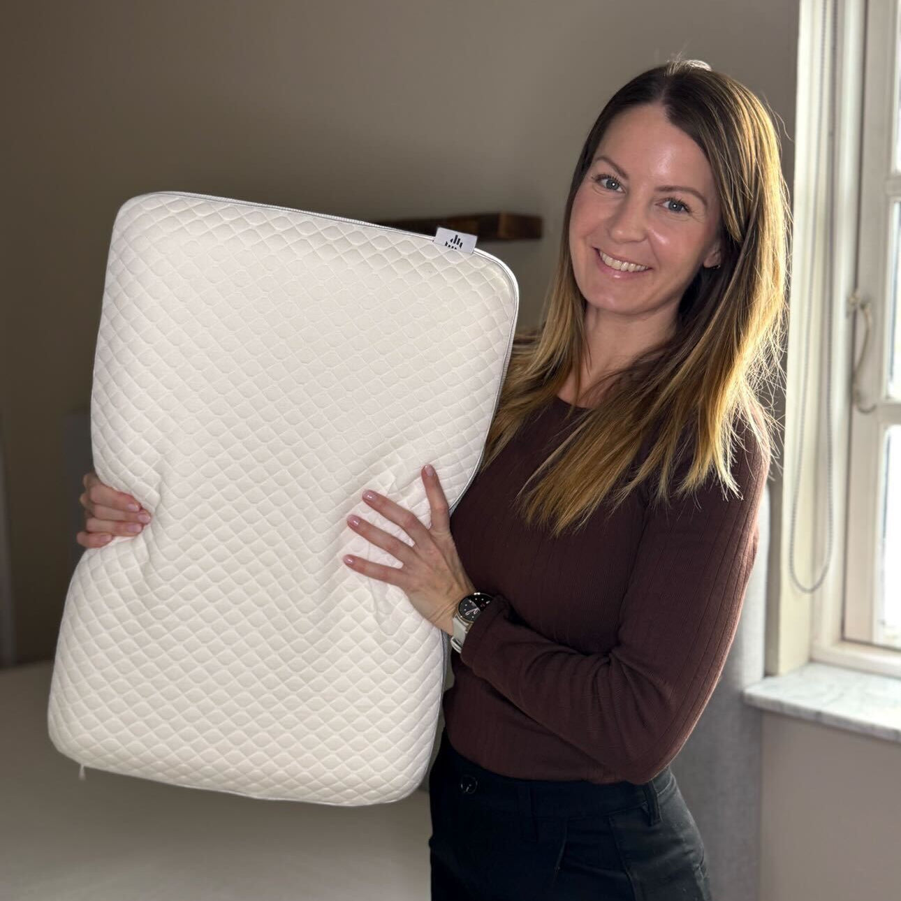 All Season Pillow